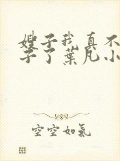 嫂子我真不是傻子了叶凡小说全集目录