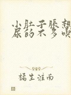 小肚子胀想尿却尿的不多吃什么药