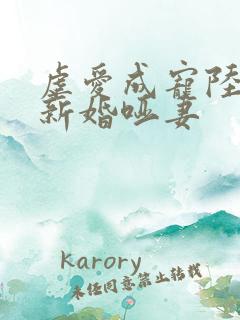虐爱成宠陆总的新婚哑妻