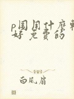 p图用什么软件好 免费的