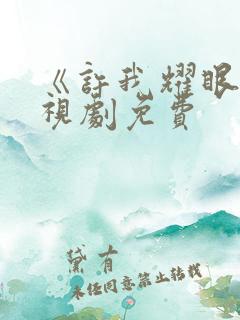 《许我耀眼》电视剧免费