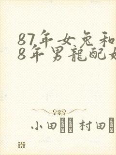 87年女兔和88年男龙配婚姻好不好