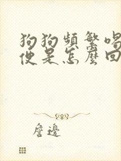 狗狗频繁喝水小便是怎么回事