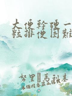 大便干硬一粒一粒排便困难怎么办