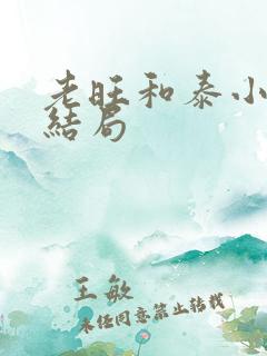 老旺和泰小雨大结局