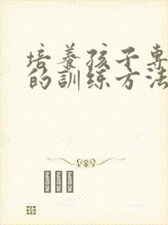 培养孩子专注力的训练方法培训班