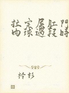 拉完屎肛门翻出肉球过段时间又没了