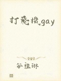打飞机gay