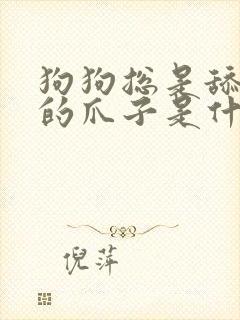 狗狗总是舔自己的爪子是什么意思