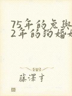 75年的兔与82年的狗婚姻怎么样