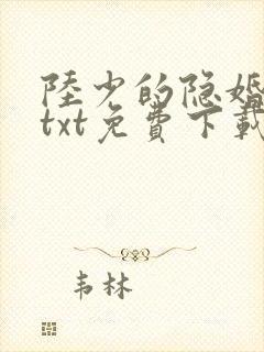 陆少的隐婚罪妻txt免费下载