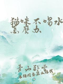 猫咪不喝水不尿怎么办