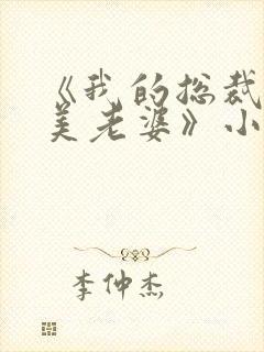 《我的总裁白富美老婆》小说