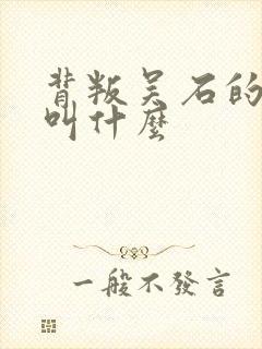 背叛吴石的叛徒叫什么