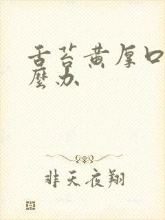 舌苔黄厚口臭怎么办