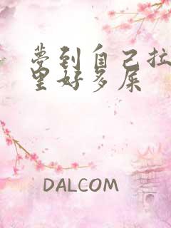 梦到自己拉裤子里好多屎