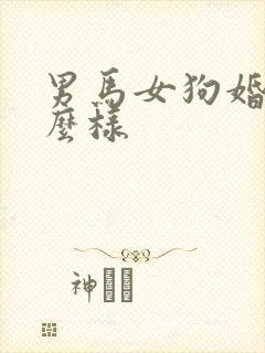 男马女狗婚配怎么样