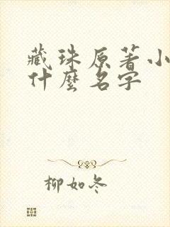 藏珠原著小说叫什么名字