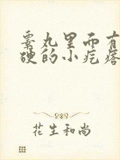 睾丸里面有个硬硬的小疙瘩挂什么科室