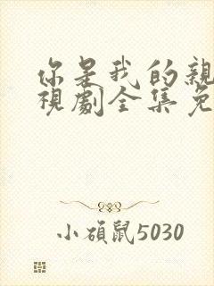 你是我的亲人电视剧全集免费观看