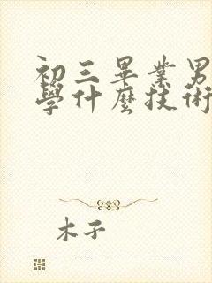 初三毕业男孩子学什么技术好