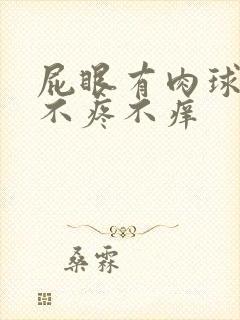 屁眼有肉球但是不疼不痒