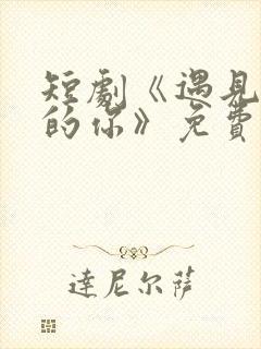 短剧《遇见正确的你》免费观看