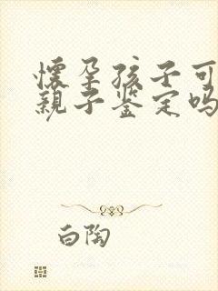 怀孕孩子可以做亲子鉴定吗