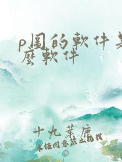 p图的软件是什么软件