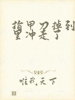 指甲刀掉到马桶里冲走了