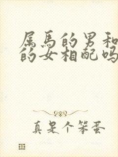 属马的男和属龙的女相配吗