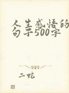 人生感悟的经典句子500字