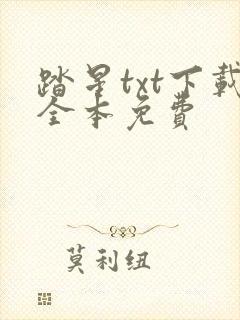 踏星txt下载全本免费