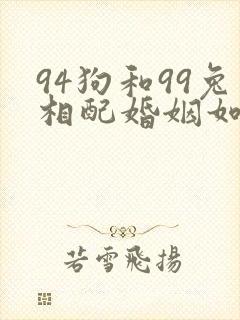 94狗和99兔相配婚姻如何