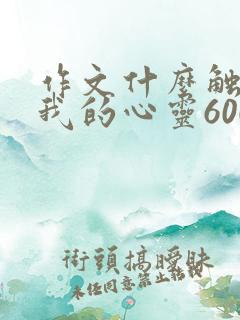 作文什么触动了我的心灵600