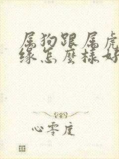 属狗跟属虎的姻缘怎么样好不好