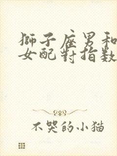 狮子座男和摩羯女配对指数