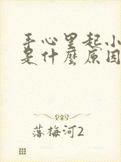 手心里起小水泡是什么原因