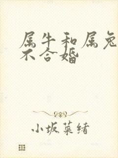 属牛和属兔的合不合婚