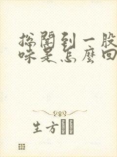 总闻到一股尿骚味是怎么回事