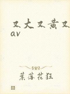 又大又黄又粗的av