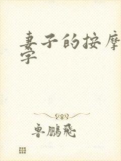 妻子的按摩师中字