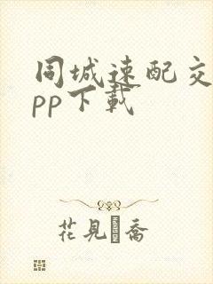 同城速配交友app下载