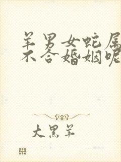 羊男女蛇属相合不合婚姻呢