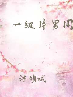 一级片男同性恋