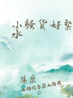 小骚货好紧好多水