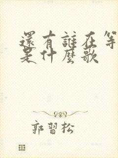 还有谁在等着我是什么歌
