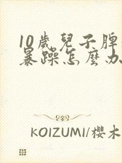 10岁儿子脾气暴躁怎么办