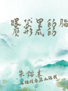 眼袋里的脂肪怎么形成的