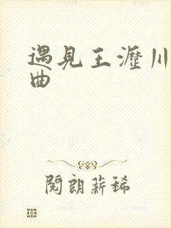 遇见王沥川片尾曲